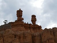 P1011941