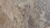 grand canyon skywalk