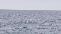Monterey
