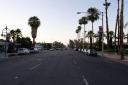 Straten met Palm Bomen