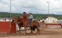 Rodeo