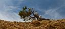 Bryce Canyon