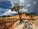 Bryce Canyon