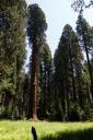 Sequoia National Park