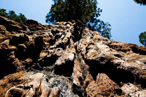 Sequoia National Park