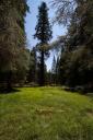 Sequoia National Park