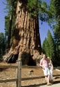 Sequoia National Park