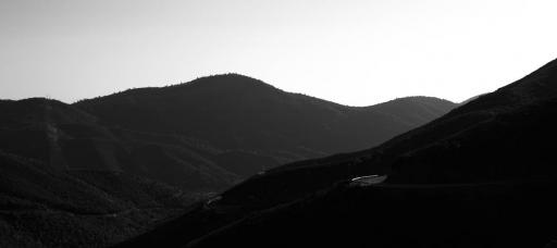 IMG_5969