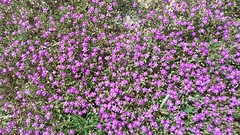 20160418_142609