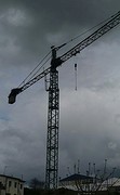 Ooievaar of kraanvogel?