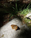 20190607_060452