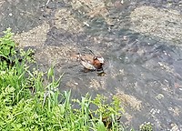 20190607_055746