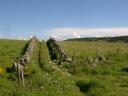Landschap van de Aubrac