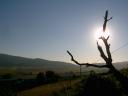 's Morgens vroeg