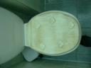 Versierde wc
