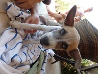 SAM_8933