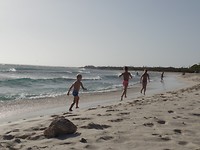 SAM_9019