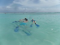 SAM_9444