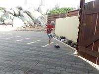 SAM_0060