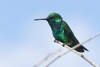 P1920938