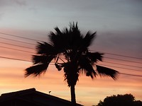 SAM_0253