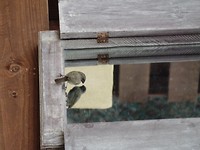 SAM_0315
