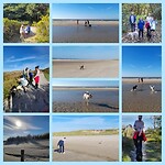 CM_Photogrid_1665328957215
