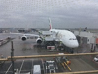 Net aangekomen op Schiphol