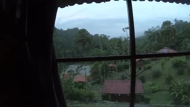A room with a view - Pacuare Lodge