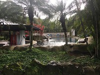 Zwembad van Buena Vista Lodge