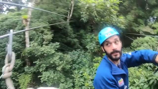 Canopy - Monteverde