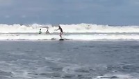 Surfles Sterre