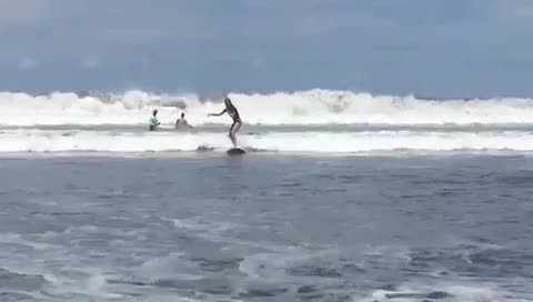 Surfles Sterre