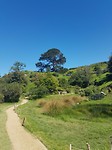 20170210_111102_001