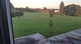 VID-20170210-WA0003