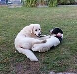 IMG-20230714-WA0000~2
