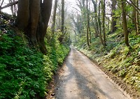 Canterbury - Dover
