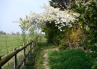 Canterbury - Dover