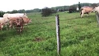 Onderweg in Frankrijk