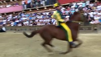 Il Palio Siena