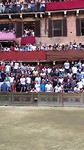 Il Palio