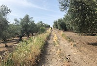 Onderweg