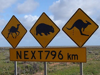 Aussie, outback