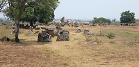 Plain of jars