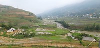 Rice paddy