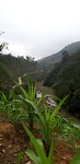Hiking view