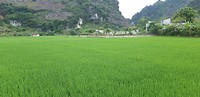 Ha Giang Loop
