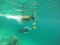 Snorkeling Borneo