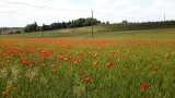 20150526_130849