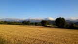 20150620_073947
